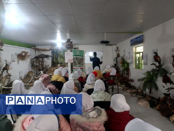 بازدید دبستان دخترانه شاهد۲ حضرت رقیه(س)، از موزه حیات وحش شیروان