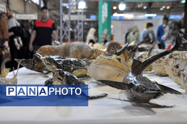 پانزدهمین نمایشگاه ملی صنایع‌دستی در کرمانشاه