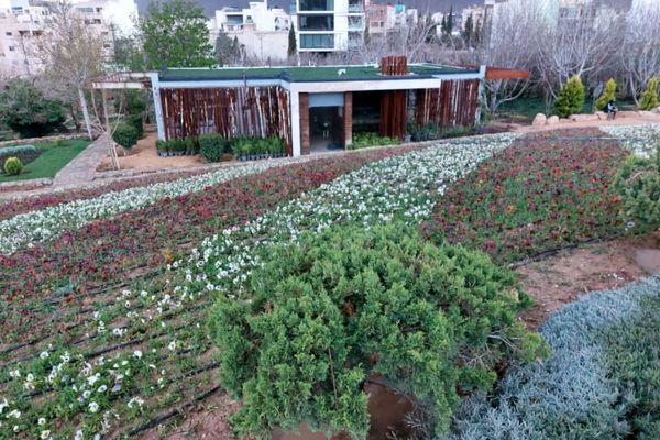 باغ گل ها در شهر گل ها شیراز