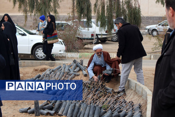 جلوه‌هایی از آیین درختکاری در اردوگاه شهدای 15 خرداد قم