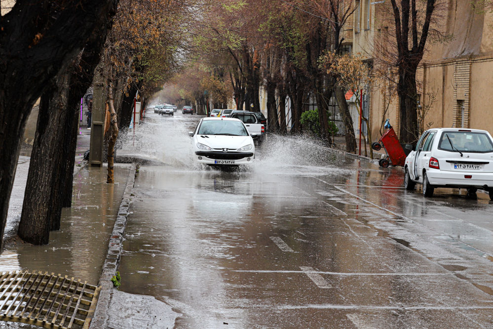 شیراز سیراب از باران بهاری/ فیلم