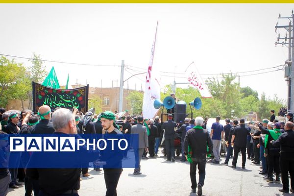 برگزاری مراسم ملی وداع نخل‌های روستاهای علوی و خاوه اردهال