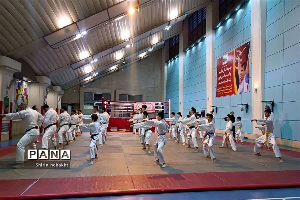 کاراته باید با نگاه تخصصی وارد ورزش مدارس شود 