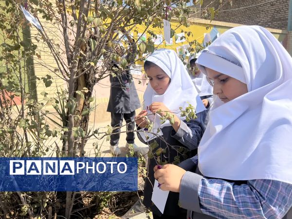 از «درخت آرزوها» تا «نمایشگاه هنری» در جشن روز کودک دبستان احمد کاظمی ۲