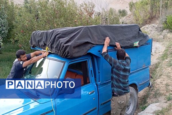 فصل برداشت میوه های پاییزی در شهر زیبای بار نیشابور.