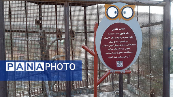 باغ پرندگان قم: جاذبه‌ای بی‌نظیر در قلب کشور