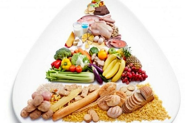 مهمترین اقدام کاهش سوءتغذیه، بهبود زیرساخت‌های کشاورزی است