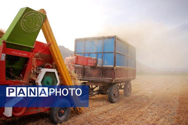 آغاز برداشت گندم در شهرستان ارومیه