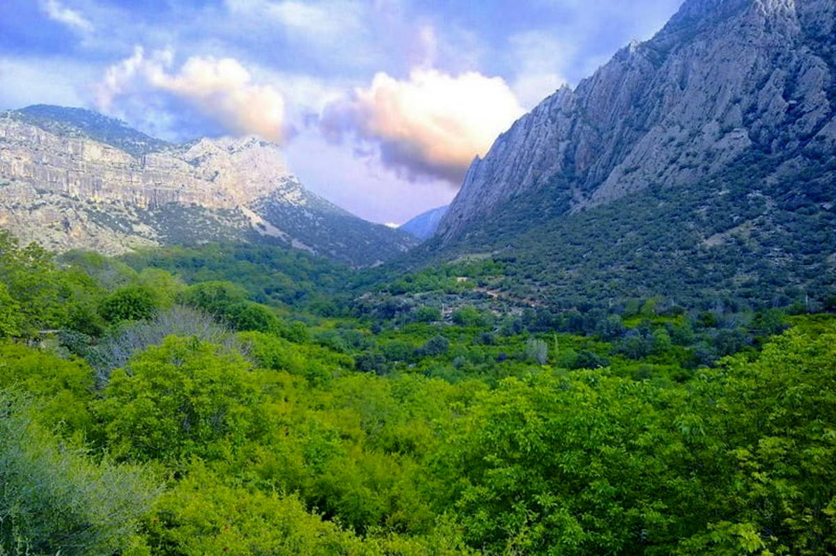 نورآباد ممسنی؛ تکه‌ای از بهشت/ فیلم