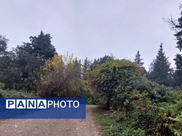 کردکوی، سرسبزترین شهرستان گلستان