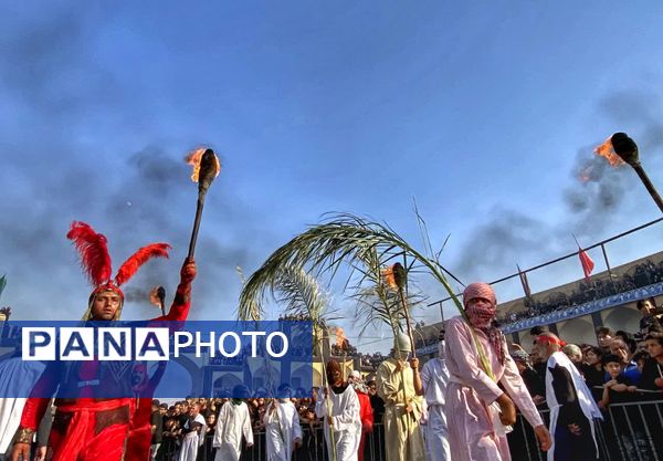 مجموعه عکس«علم از دست علمدار نیفتاده است هنوز»