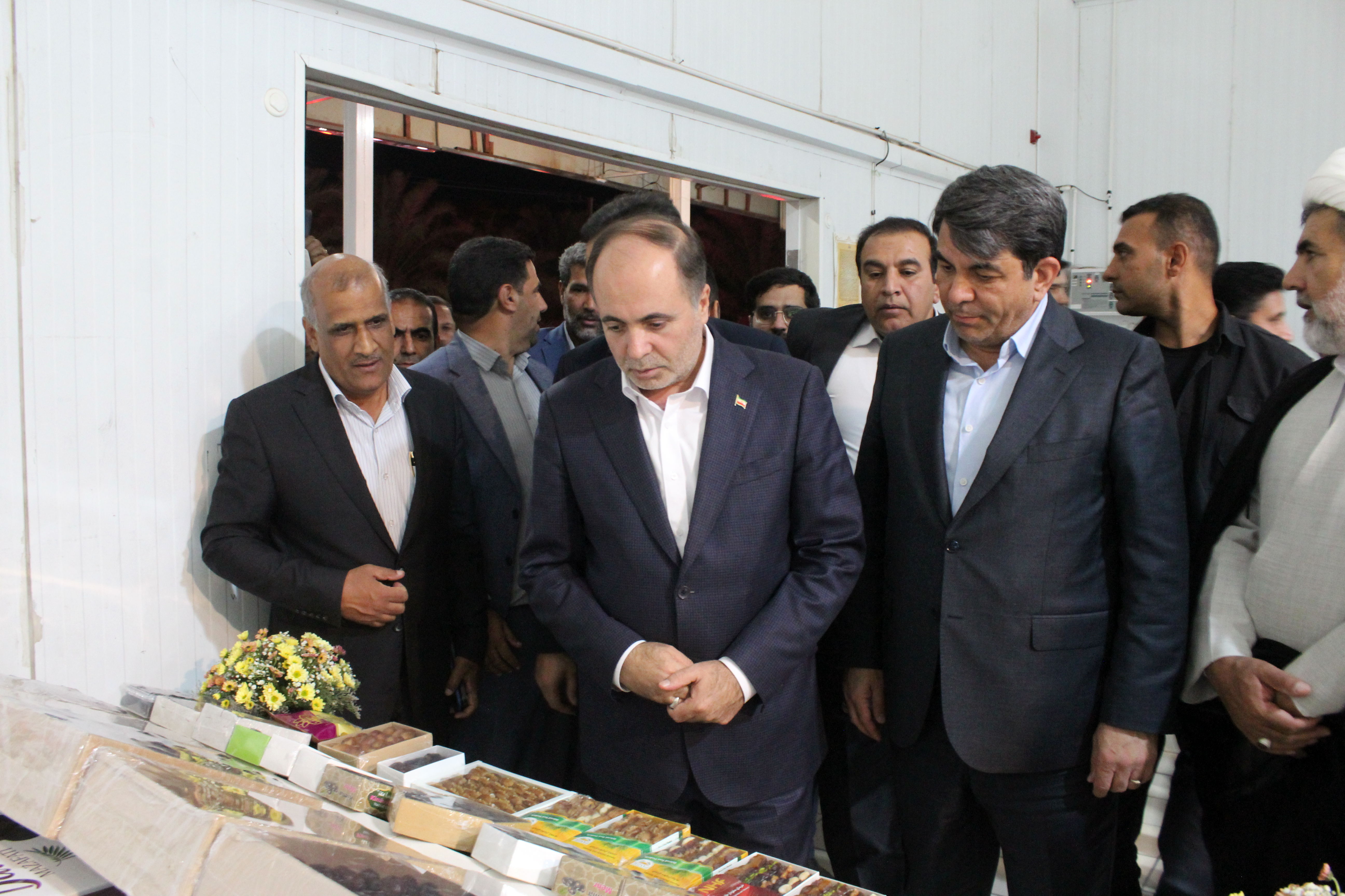 دستور فوری وزیر جهاد کشاورزی برای نجات روستای «طرز» و مقابله علمی با آفت خرما