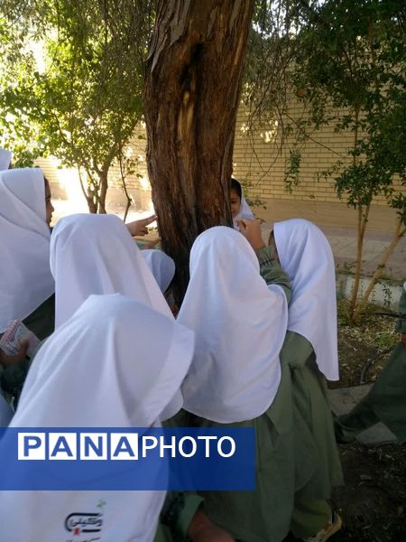 لمس طبیعت با حواس پنج‌گانه، سفری از شناخت تا شکرگزاری در هفته بهداشت روان