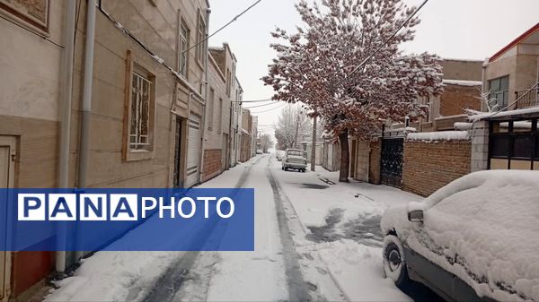 شازند سفیدپوش شد