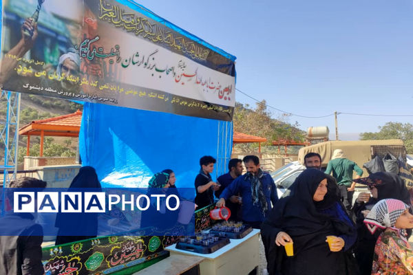 پذیرایی موکب‌ها از جاماندگان اربعین حسینی در دیشموک
