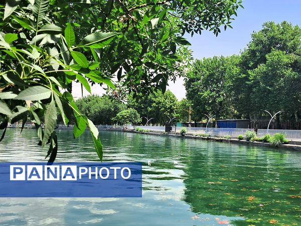 بازدید از باغ وحش ارم ،تجربه‌ای بی‌نظیر در دنیای شگفت‌انگیز حیوانات 