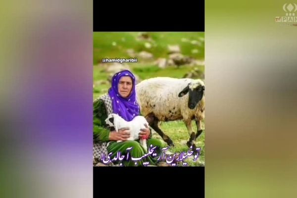شهریار؛ صدای ماندگار جانِ سخن پارسی