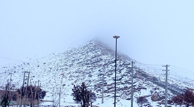 روزهای برفی شهر بن 