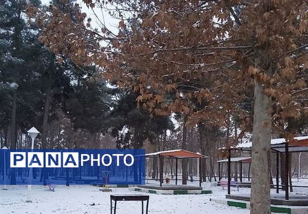 بارش برف در مشهد