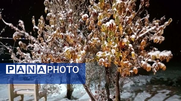 شبی برفی در نیشابور 