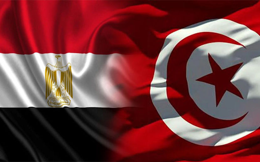 تماس تلفنی رؤسای جمهور مصر و تونس پیرامون غزه