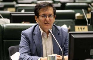مجلس از طرح‌هایی که وحدت ملی را تقویت می‌کند حمایت می‌کند