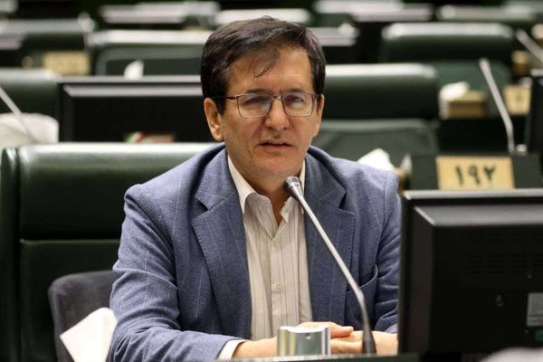 مجلس از طرح‌هایی که وحدت ملی را تقویت می‌کند حمایت می‌کند