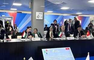 ایران خواستار تشکیل کارگروه مشارکت کشورهای آسیایی در حوزه ورزش