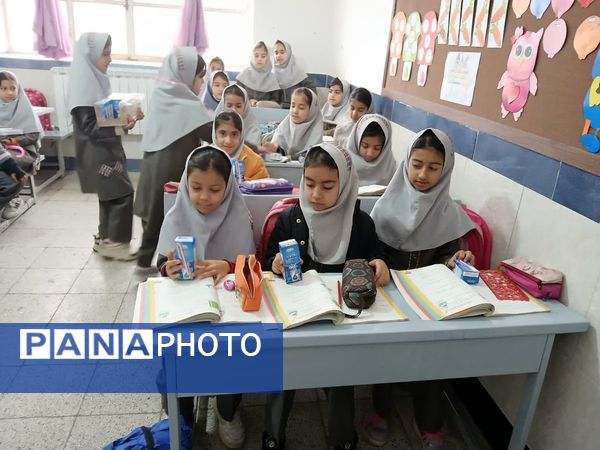 آغاز توزیع شیر در دبستان شهید نجفی فدافن