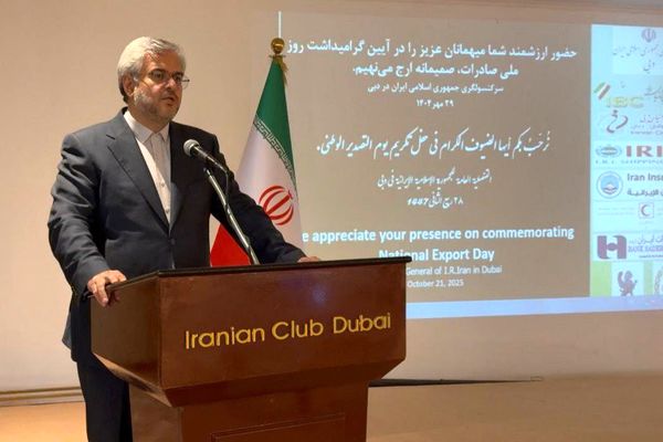  سفیر ایران بر لزوم حمایت از صادرکنندگان برای بهبود تراز تجاری با امارات تاکید کرد