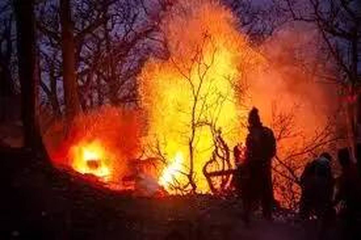 جزئیات بازدید میدانی دادستان مرکز استان مازندران از محل آتش‌سوزی جنگل‌های الیت