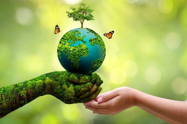 نقش دانش‌آموزان در نجات محیط‌ زیست 