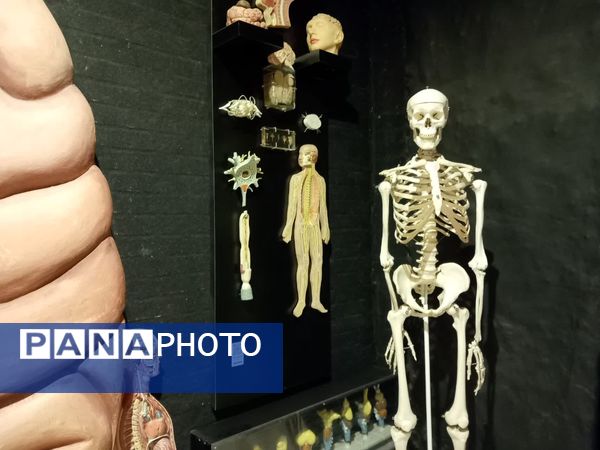 بازدید از پارک علمی تفریحی پروفسور بازیما مشهد