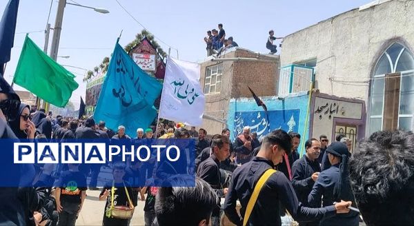 اجرای آیین کهن نخل‌گردانی و بیل‌زنی در روستای فدافن