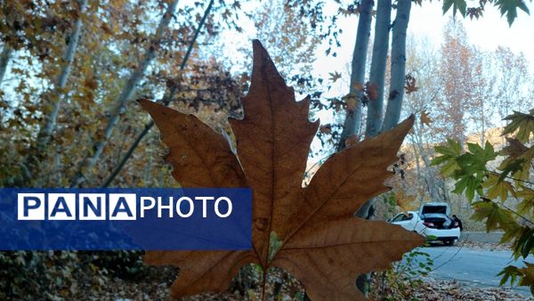 نگاهی کوتاه به طبیعت پاییزی امامزاده بابا پیر احمد (ع) شهرستان بن 