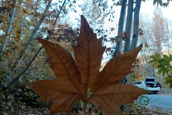 نگاهی کوتاه به طبیعت پاییزی امامزاده بابا پیر احمد (ع) شهرستان بن 