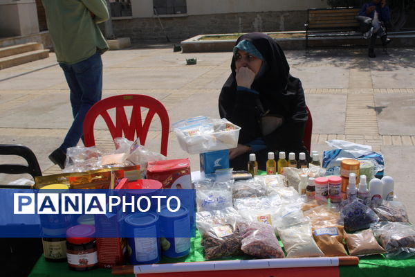 جشنواره کسب و کار مجتمع آموزشی نخبگان برتر در بوشهر 