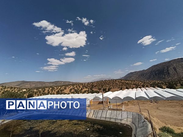 فاز دوم مجتمع گلخانه‌ای لردگان، آغاز فصل جدیدی در کشاورزی پایدار