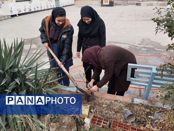 کاشت درخت در هنرستان بصیرت آشخانه