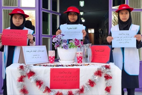 آغاز طرح مکمل یاری با آهن و ویتامین دی در مدارس کهریزک