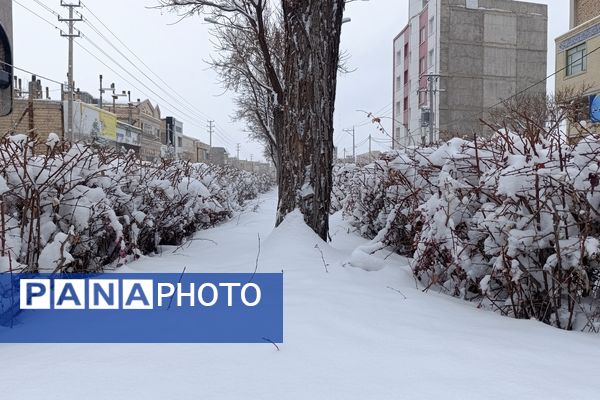 بارش زیبای برف پاییزی در شهرستان نیشابور 