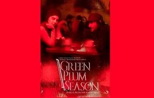 «فصل آلوچه های سبز» از آمریکا جایزه گرفت/ رونمایی از پوستر بین المللی فیلم