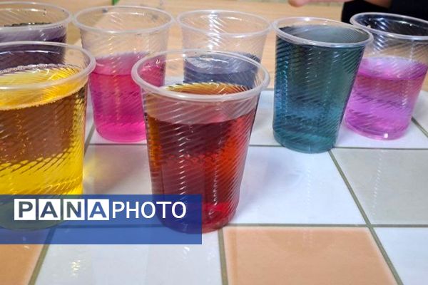 آزمایش، کشف، پژوهش؛ شیمی زنده در دبیرستان نمونه امیرالمؤمنین(ع)