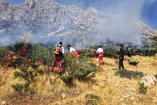 آتش‌سوزی گسترده در جنگل‌های مارگون مهار شد