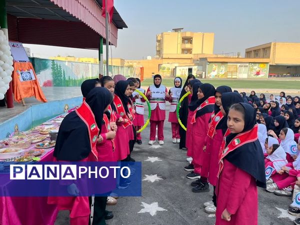 طرح ملی «ماهر و سفیران سلامت» در آموزشگاه زینبیه خورموج دشتی 