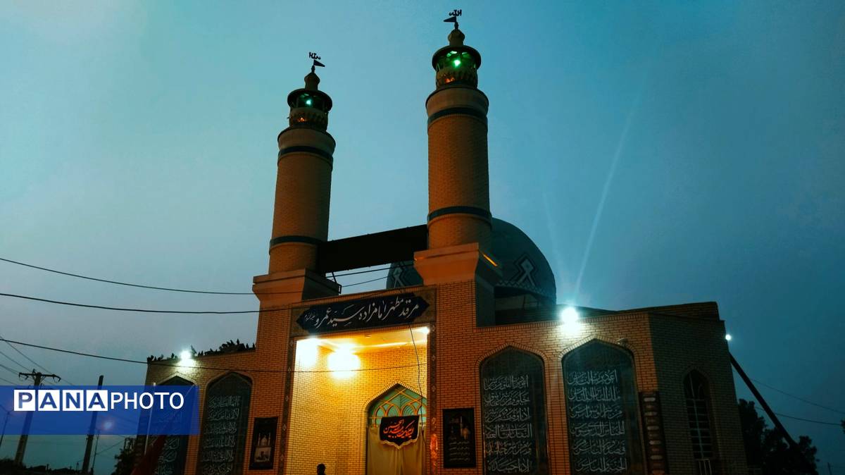 جاماندگان اربعین در مسیر شاه قطب‌الدین حیدر شهرستان رودان
