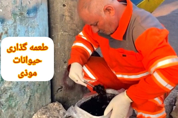 طعمه‌گذاری یکی از راه‌های حفظ اکوسیستم شهری