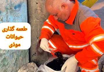 طعمه‌گذاری یکی از راه‌های حفظ اکوسیستم شهری