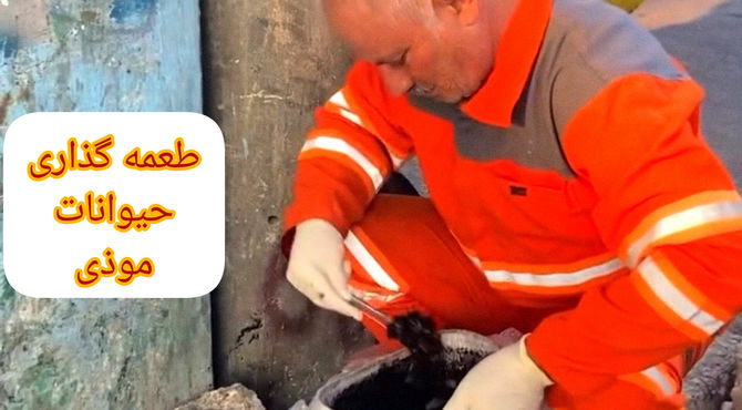 طعمه‌گذاری یکی از راه‌های حفظ اکوسیستم شهری