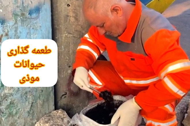 طعمه‌گذاری یکی از راه‌های حفظ اکوسیستم شهری